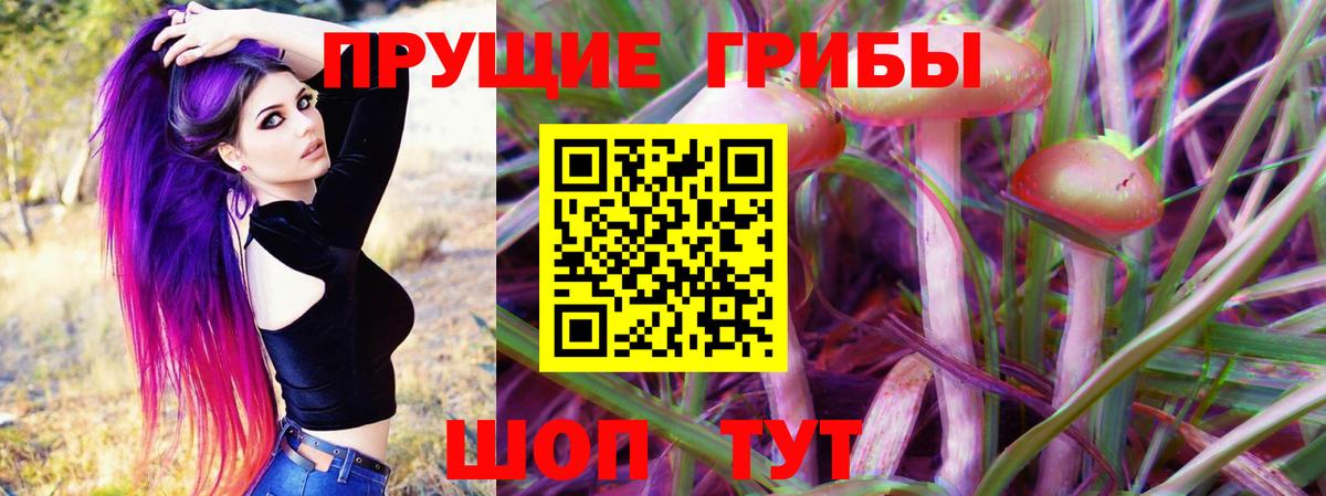 Псилоцибиновые грибы MAGIC MUSHROOMS  Псилоцибиновые грибы Psilocybe  где купить наркотик  Назарово  Вход с VPN 